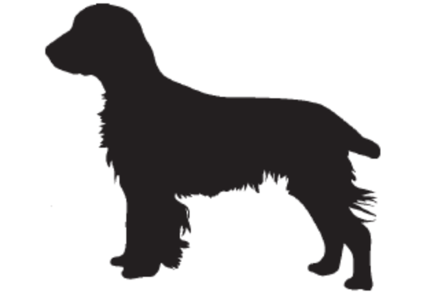 BASUS22 (2) Open-source dog art #11 from dividneddogcatcher.com
