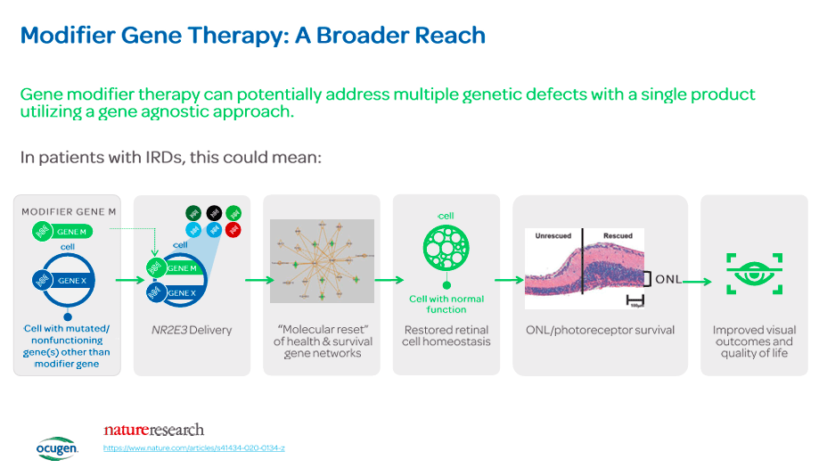 Source: Corporate Presentation, January 2024.
