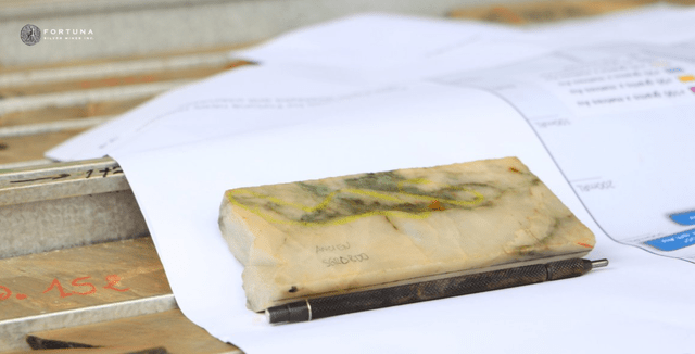Ancien (Seguela) Mineralization