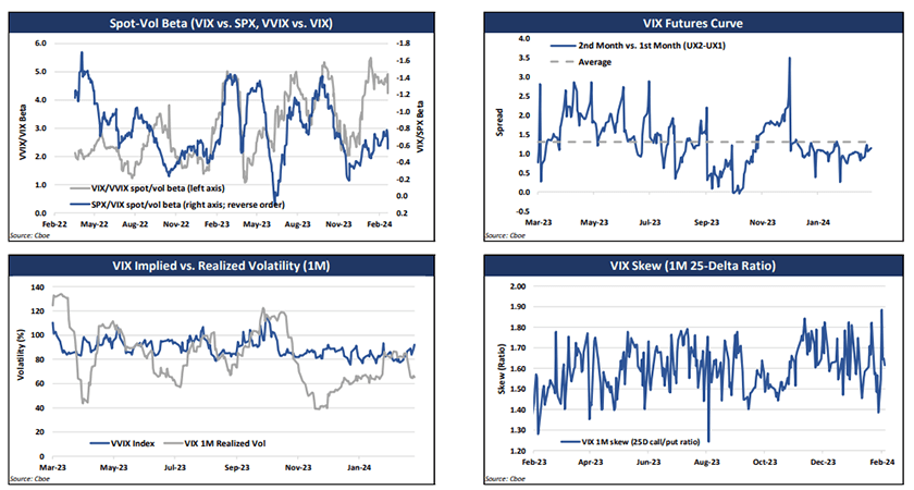 VIX Index Volatility