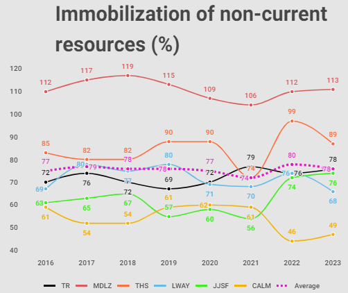 Immobilization of Tootsie's non-current resources over the years