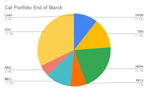 Cat Portfolio