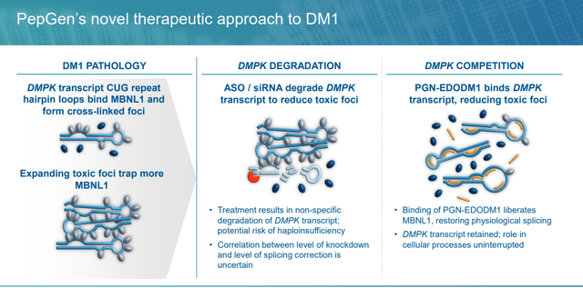 DM1