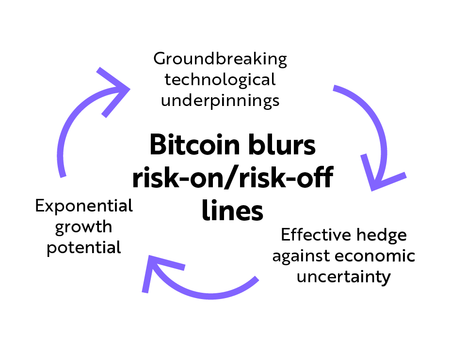 Bitcoin flow chart