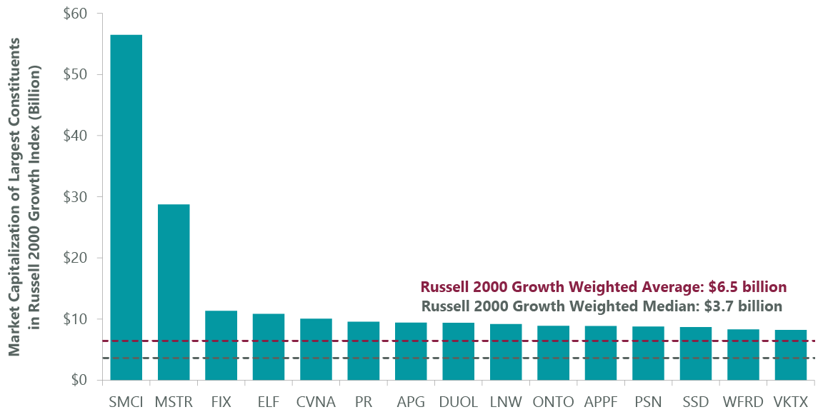 Exhibit 1: Largest Components in Russell 2000 Growth Index