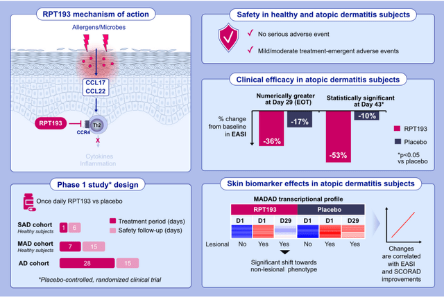 Graphical abstract of the phase 1 study