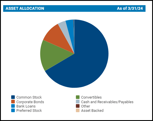 CSQ asset allocation