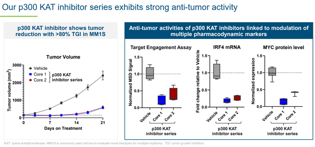 Strong antitumor activity