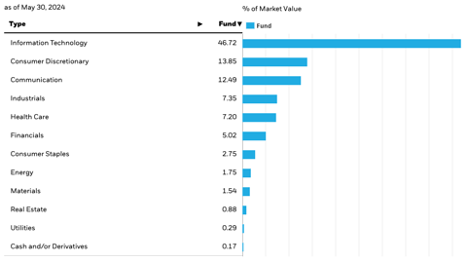 Sector allocation in the IUSG portfolio