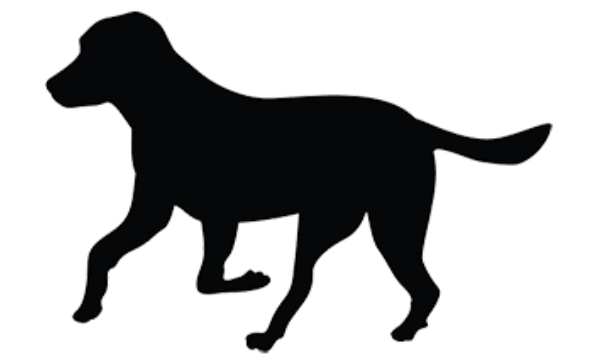 BASUS24 (2) Open-source dog art #8 from dividneddogcatcher.com JUN24-25