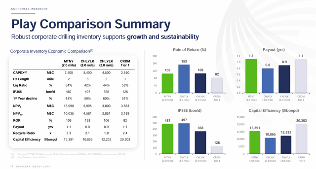 Bonterra Energy Summary Of Portfolio Returns And Profitability