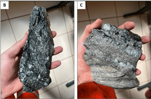 Pilar Mine Mineralization