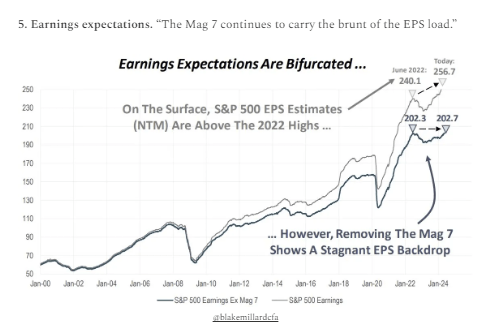 A chart showing earnings forecasts, with and without positive earnings, for Magnificent Seven