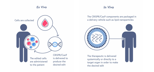 ex vivo or in vivo