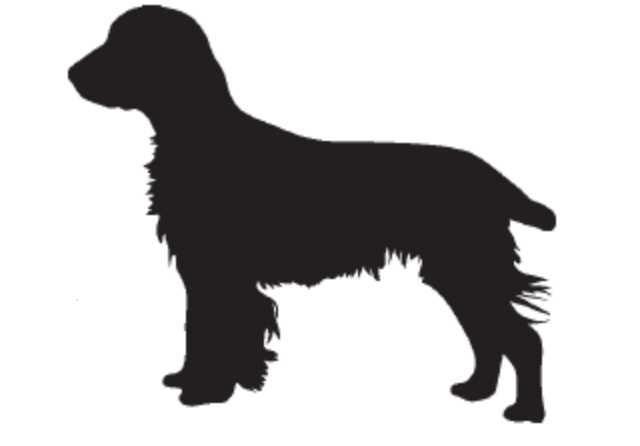 YBUF (2)BUFDOG JUN,28 Open source dog art DDC11 from dividenddogcatcher.com