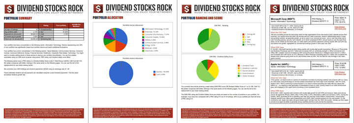 DSR PRO Portfolio Report Example.