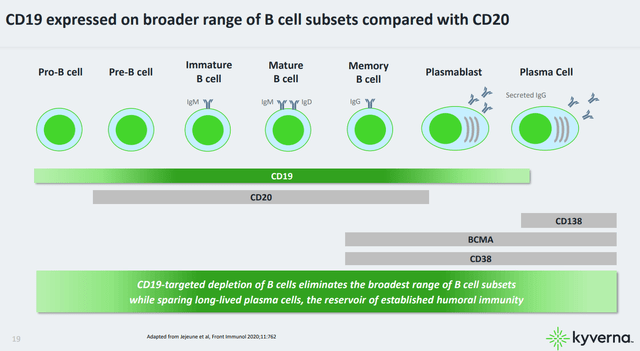 B-cell expression of various markers, including CD19, CD20 and BMCA at different stages of maturation