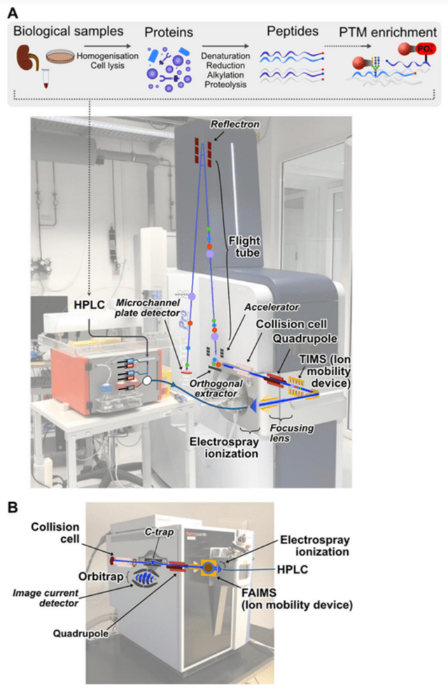 Mass Spectrometer use in proteomics