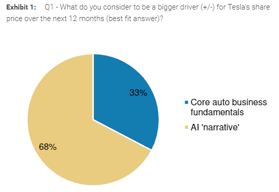 Tesla investor survey