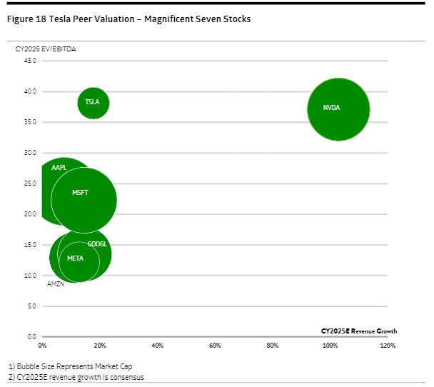 TD Cowen - Mag 7 valuation map