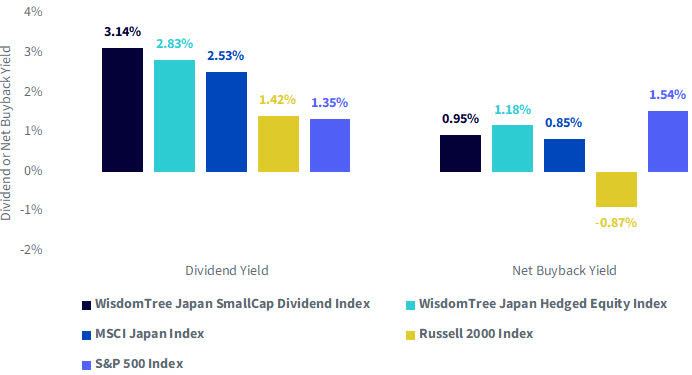 Japan’s Small Caps Offer Strong Fundamentals Related to Returning Capital to Shareholders through Dividends and Buybacks