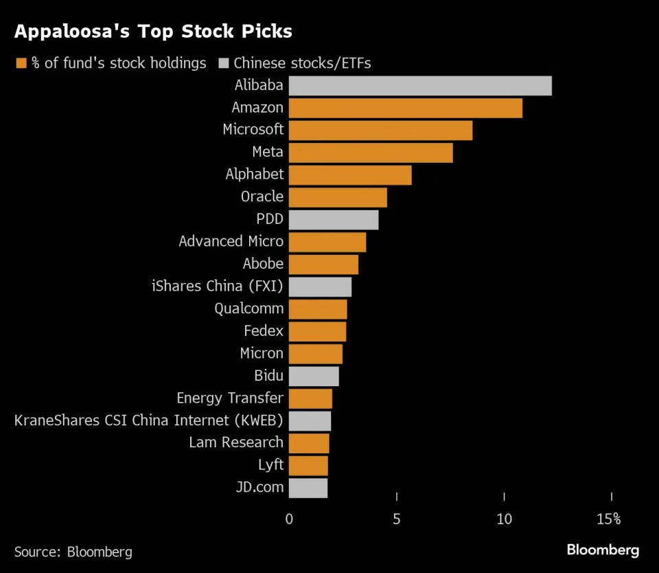 Appaloosa Stocks