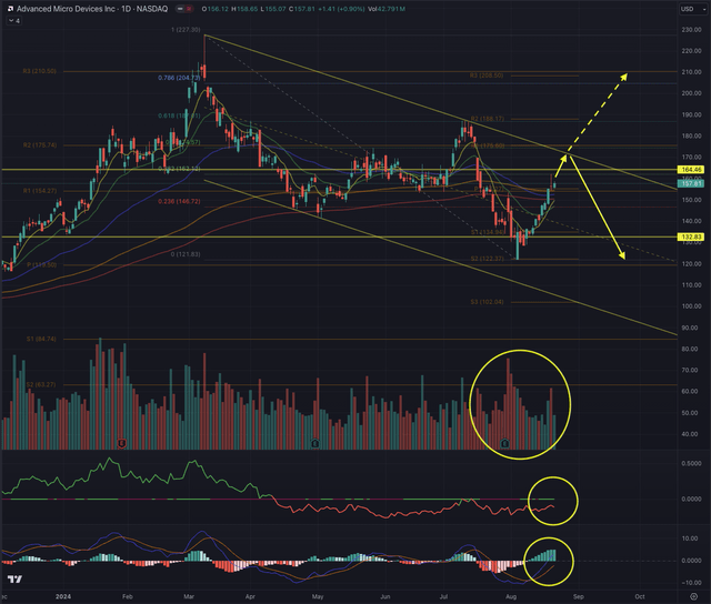 AMD Likely Outcome 22.08.2024