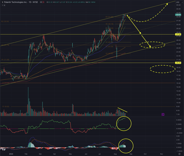 PLTR Likely Outcome 22.08.2024