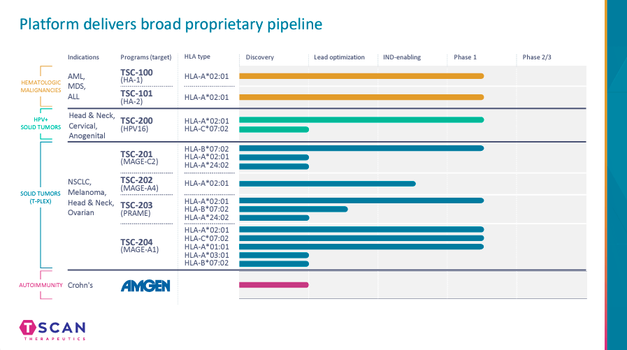 Sursa: Prezentarea companiei. august 2024