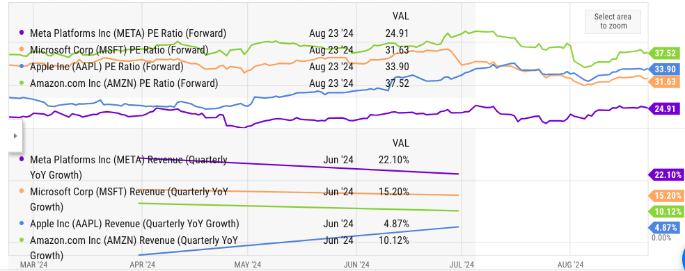 Key metrics of Meta and other peers. 