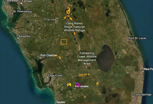 Mapa mundial com vários locais Uma descrição gerada automaticamente com confiança média