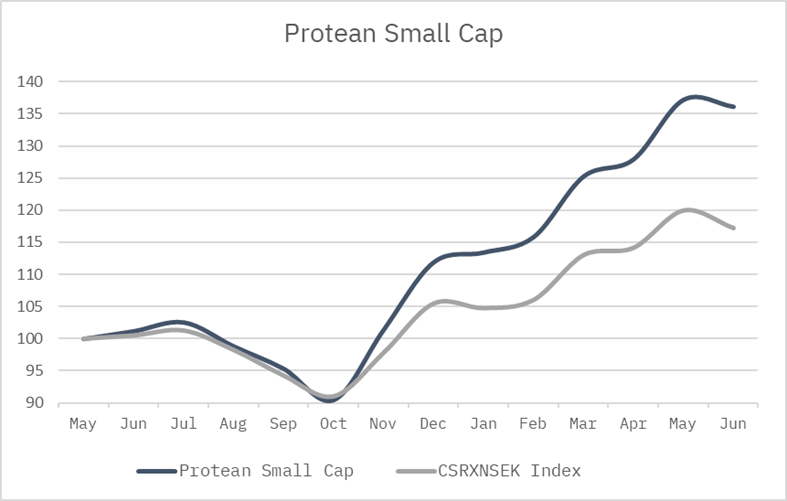 Protean Small Cap performance