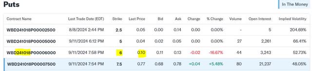 Warner Brothers Discovery Put Options