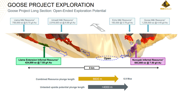 Prezentare generală a geologiei proiectului Goose