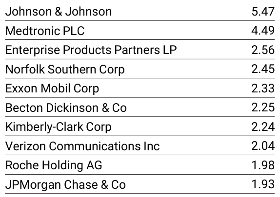 Top 10 Holdings (%)