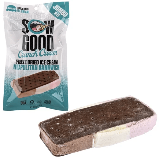 Freeze-dried ice cream bar