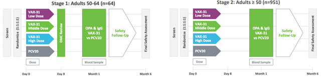 VAX-31 Phase 1/2 study design