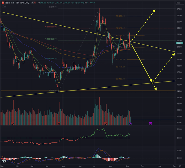 TSLA Likely Outcome 10.09.2024