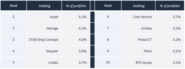 The ten largest positions in Protean Small Cap