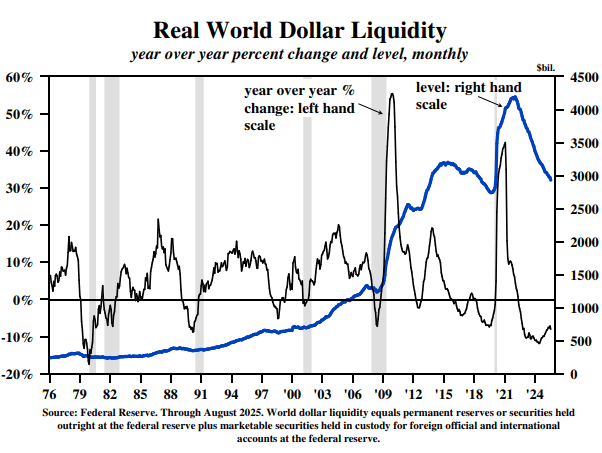 Real world dollar liquidity