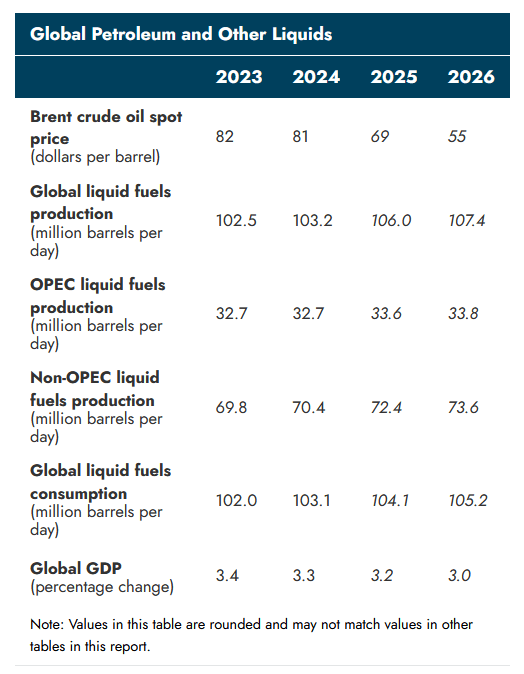 global petroleum and other liquids