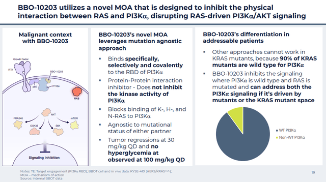Pi3ka Ras Interaction BridgeBio Oncology Therapeutics: Promising KRAS Drug Developer, In My ...