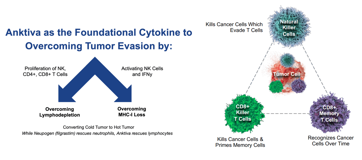 ImmunityBio Stock: Anktiva Revenue Will Ramp, But Competitive Risks ...