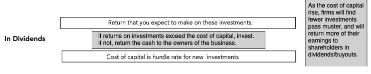 Dividend investing strategy