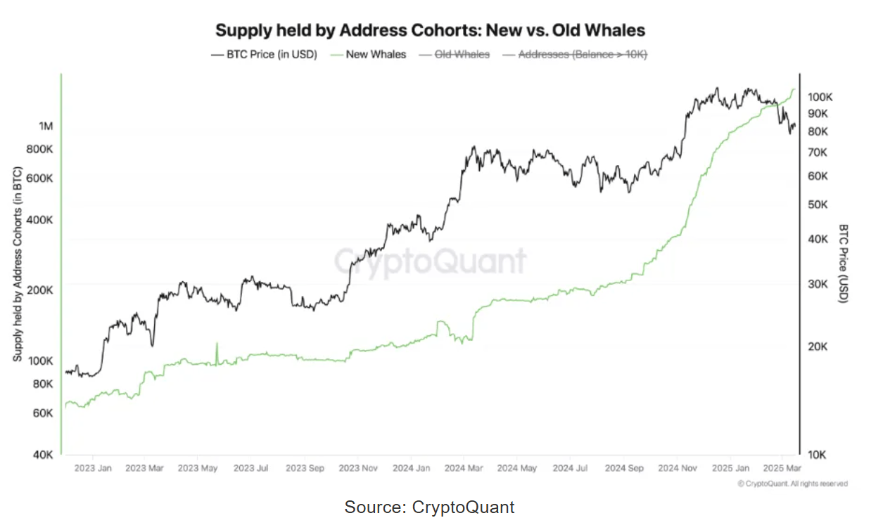 Bitcoin Analysis: Trump Impact, Whale Activity And Price Predictions |  Seeking Alpha