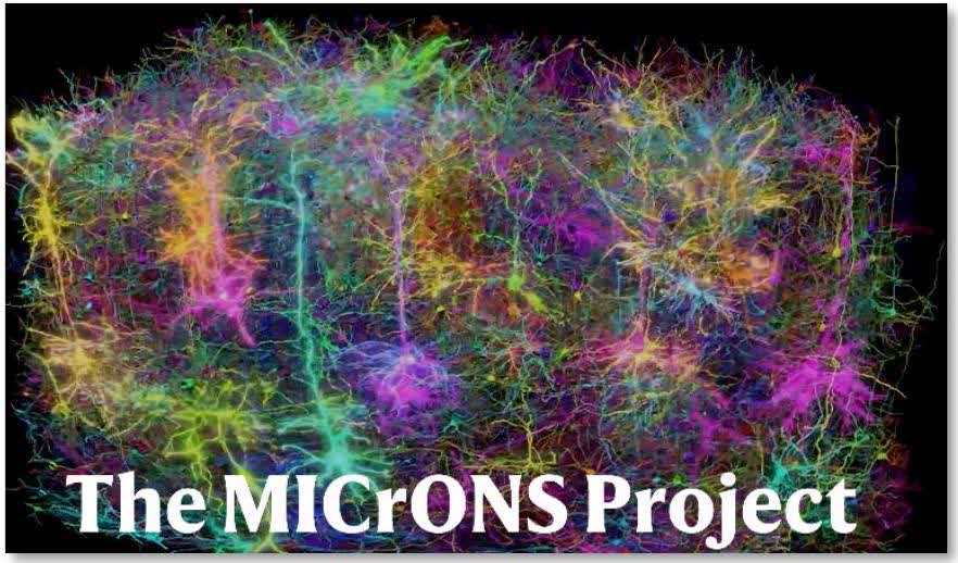 The MICrONS Project.