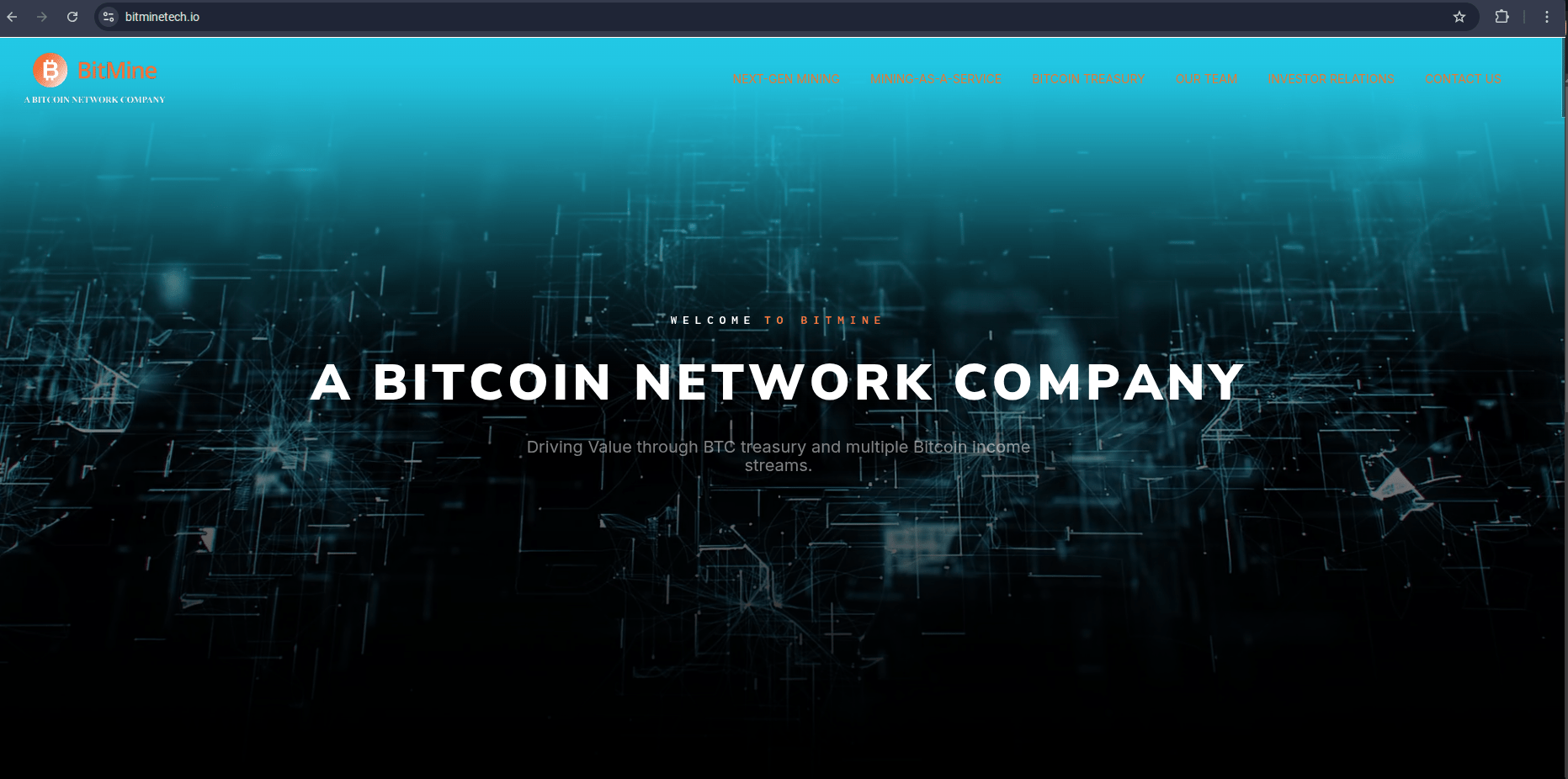 Bitmine Immersion Stock: Capitalizing On Crypto Enthusiasm Likely To End  Badly (NYSE:BMNR) | Seeking Alpha