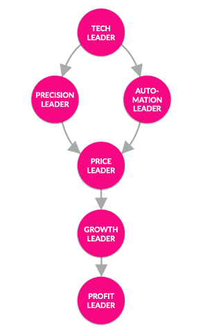 Lemonade Growth Strategy
