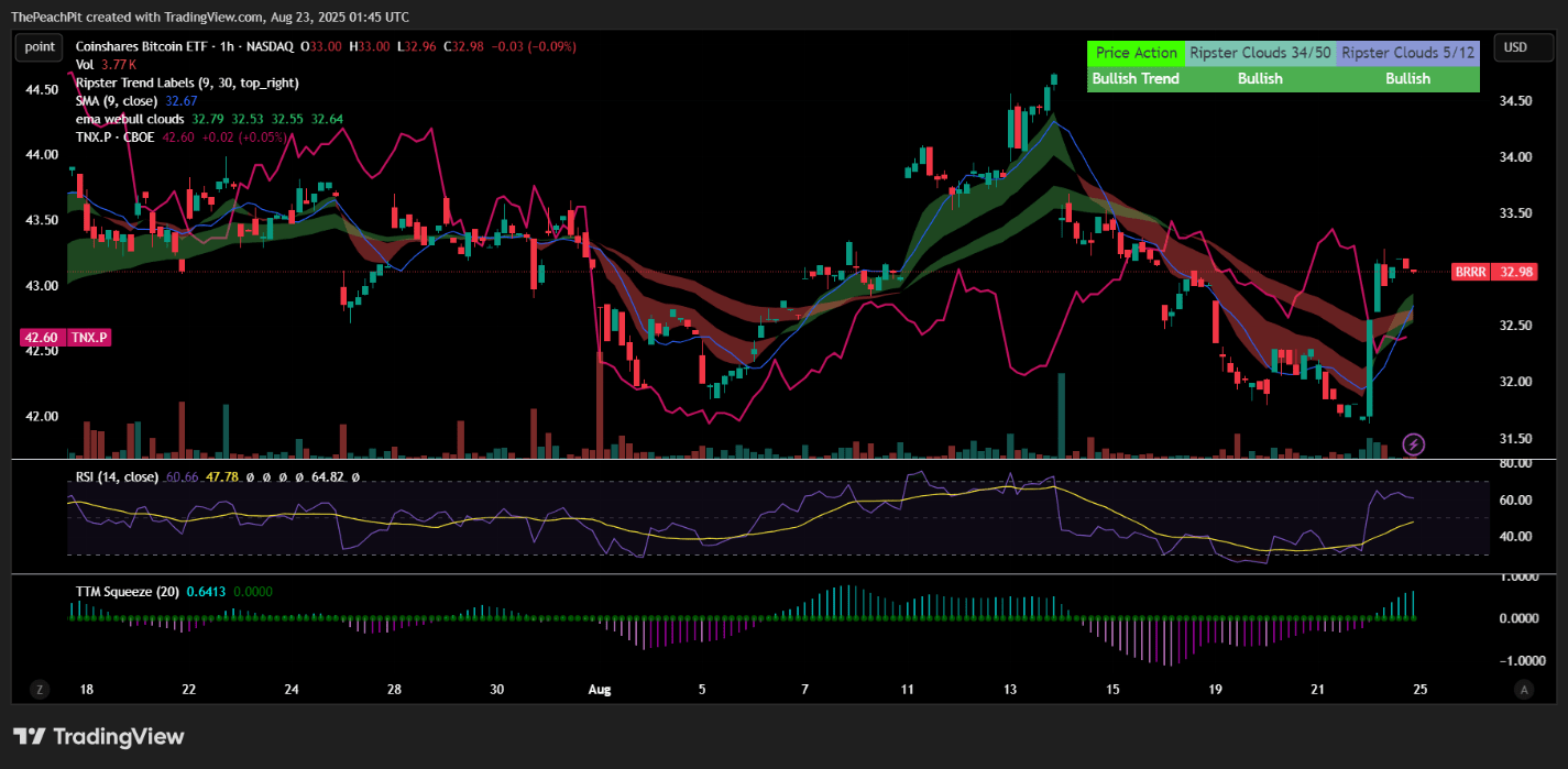 Brrr etf price (88) 사진