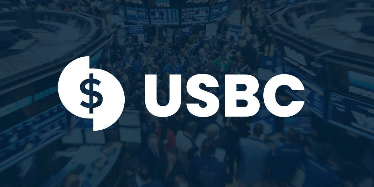 USBC: Greg Kidd's Bitcoin Treasury And Stablecoin Pivot (NYSE:USBC ...
